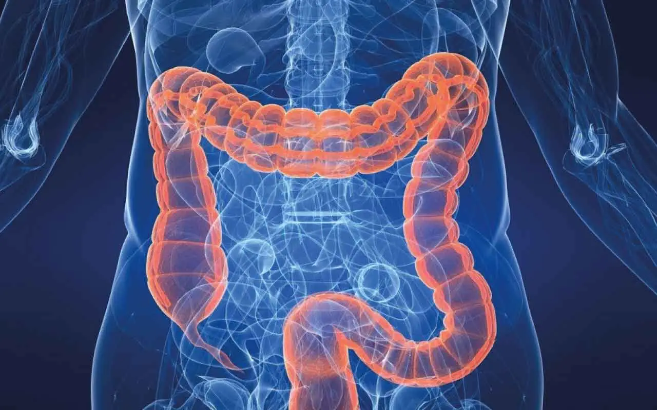Come pulire l’intestino a fondo: ecco il rimedio naturale poco noto