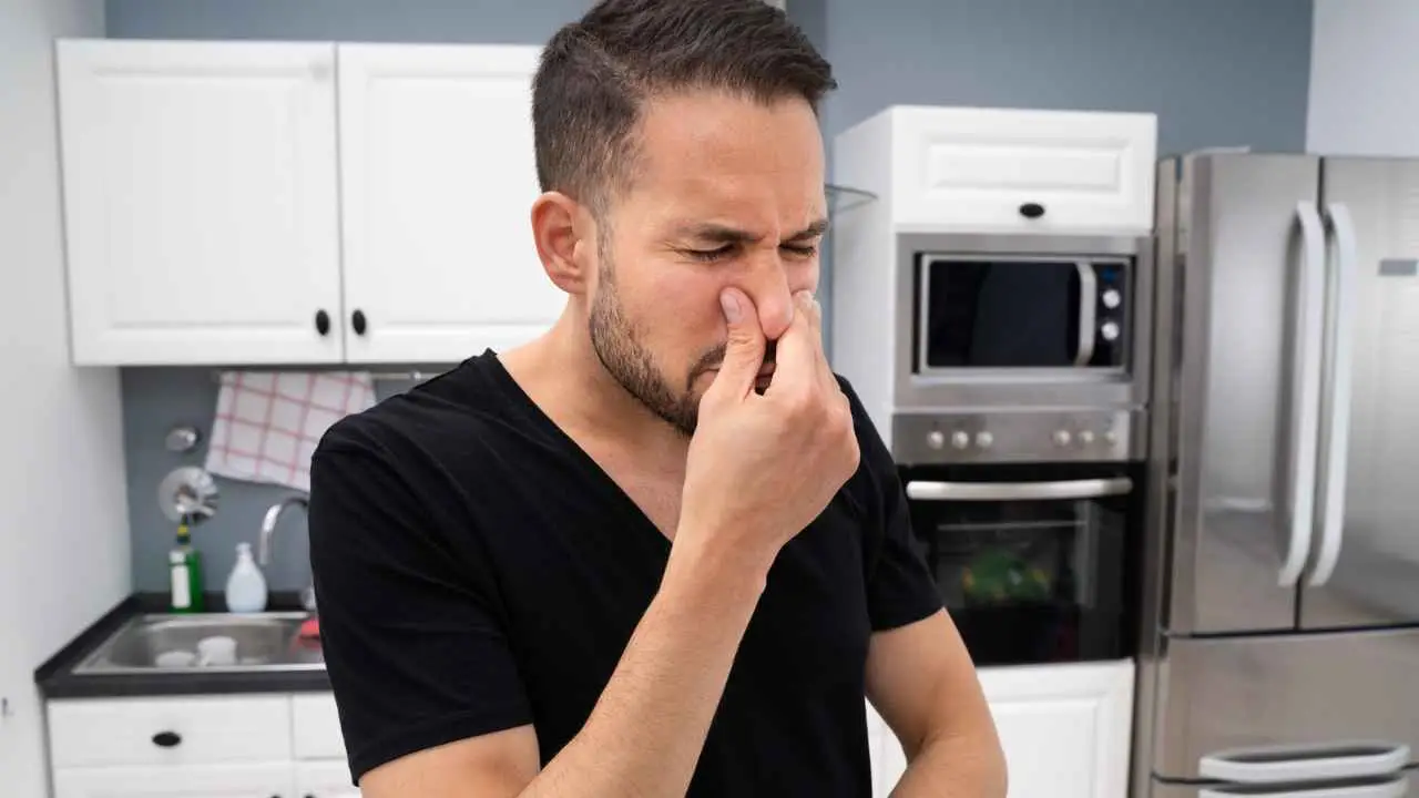 Da dove nasce la puzza in casa: la spiegazione ti sorprenderà