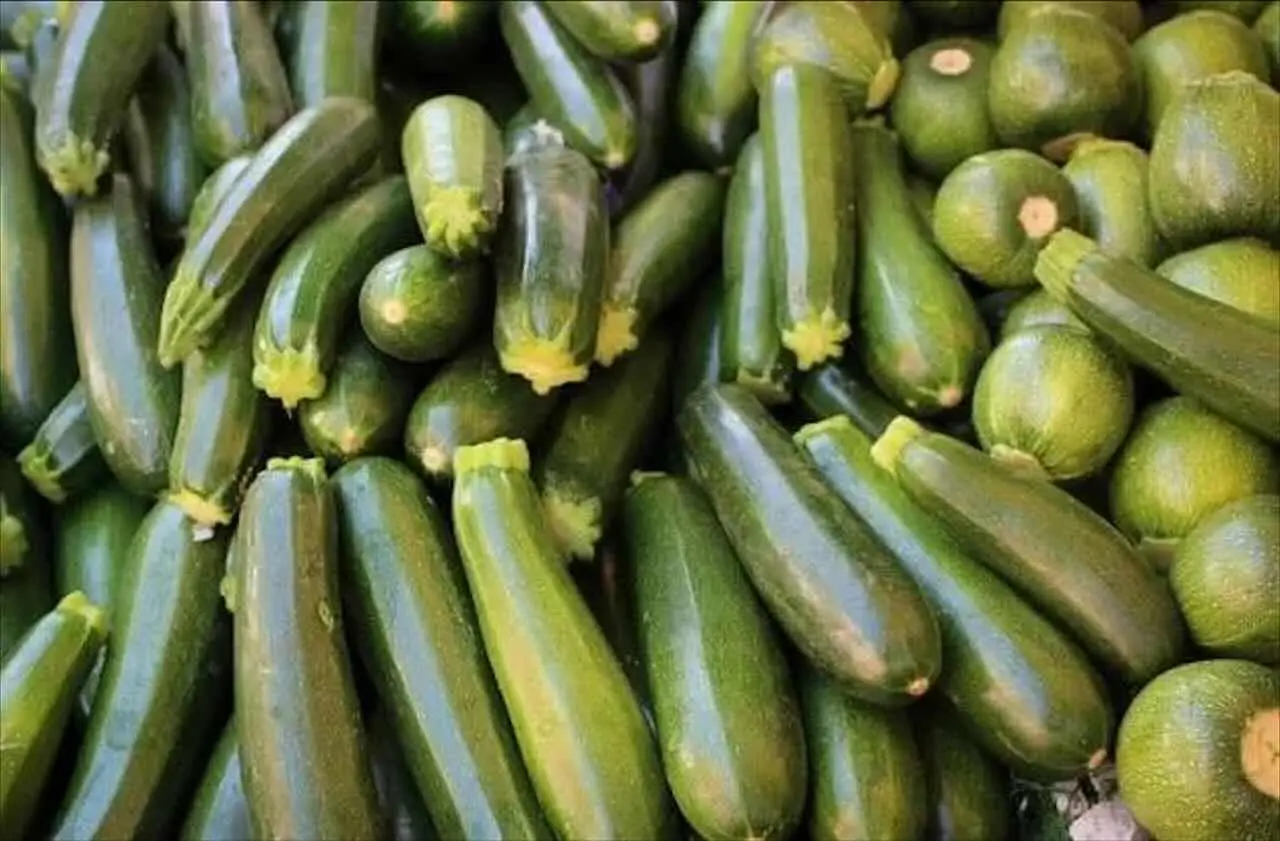 Ecco le 6 piante che migliorano la crescita e i sapori delle zucchine in giardino