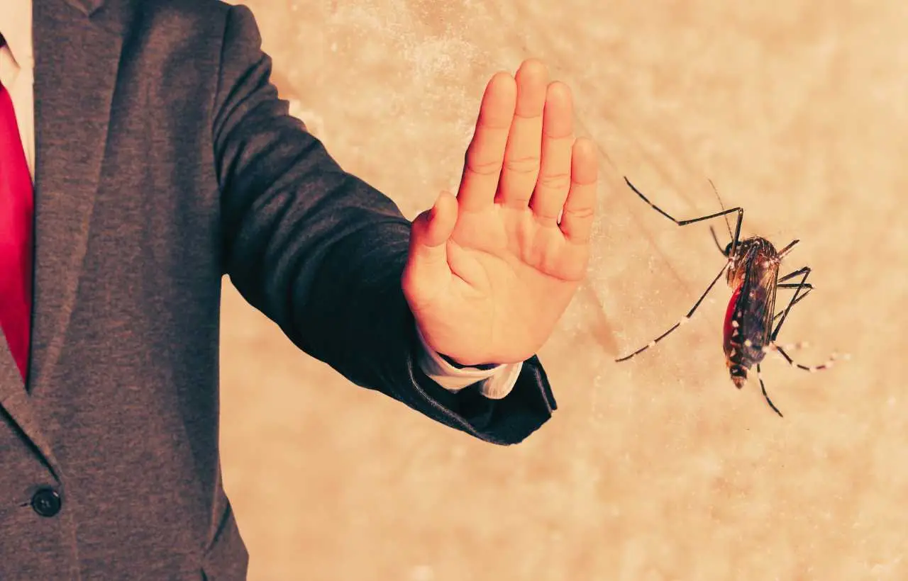 Il trucco della nonna che funziona davvero per tenere lontane le zanzare in casa