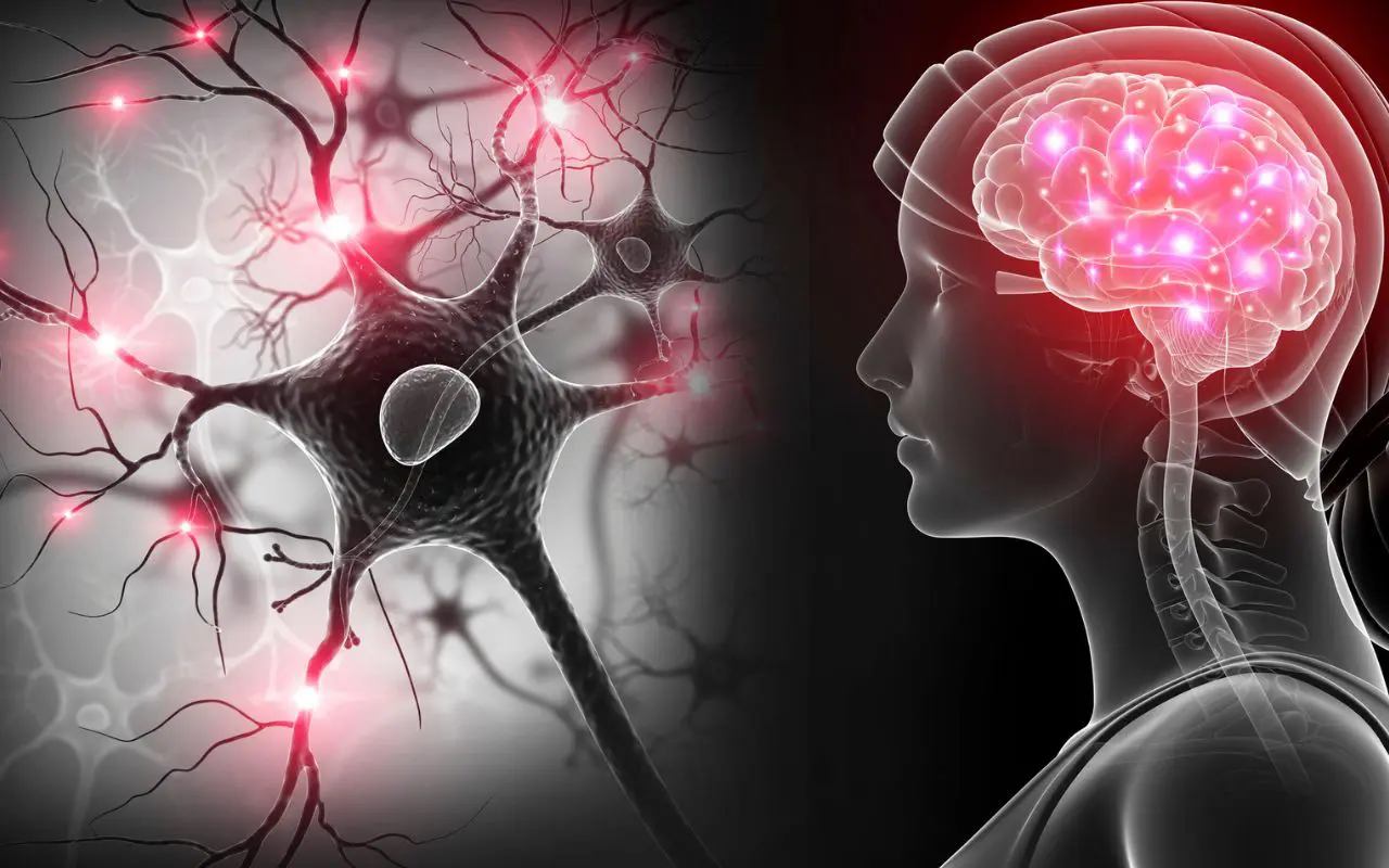 Attenzione ai sintomi silenziosi delle malattie cerebrovascolari: ecco cosa sono e come prevenirle