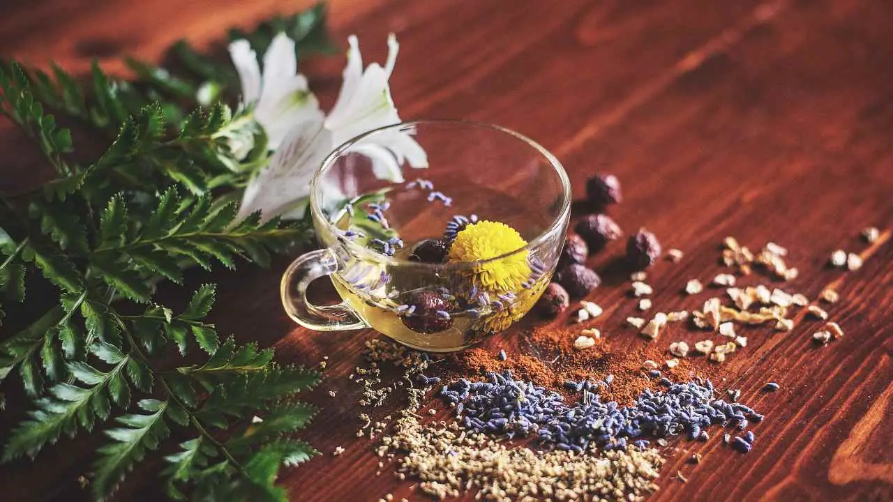 Cosa bere al mattino per essere più salutare? La risposta degli esperti ti sorprenderà