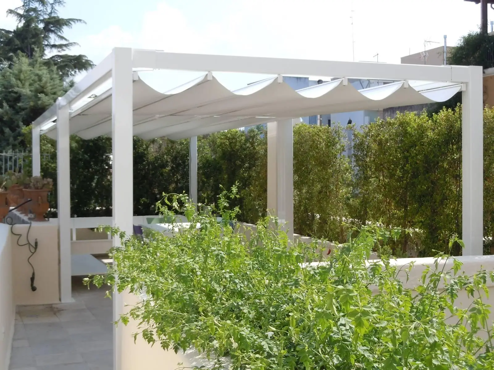 Il trucco semplice ed economico per creare ombra alle tue piante ed evitare che muoiano