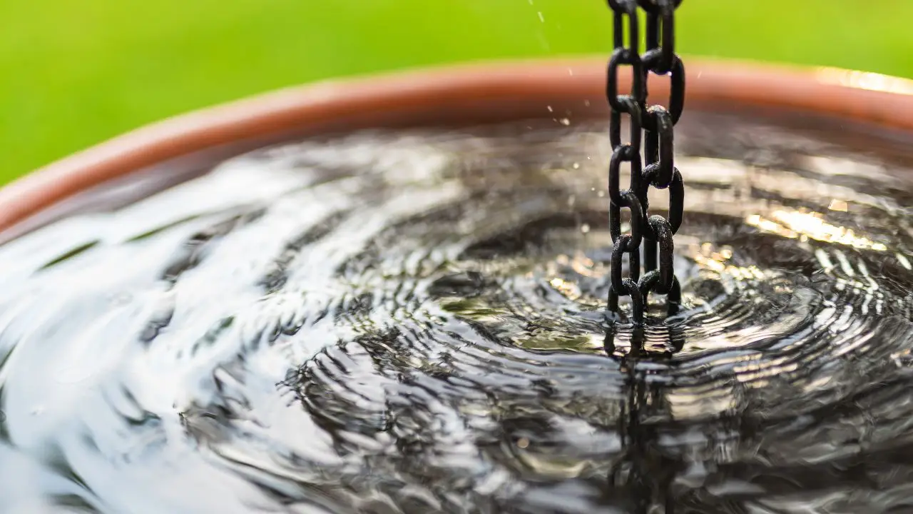 Il trucco semplice ed economico per raccogliere migliaia di litri di acqua piovana in giardino