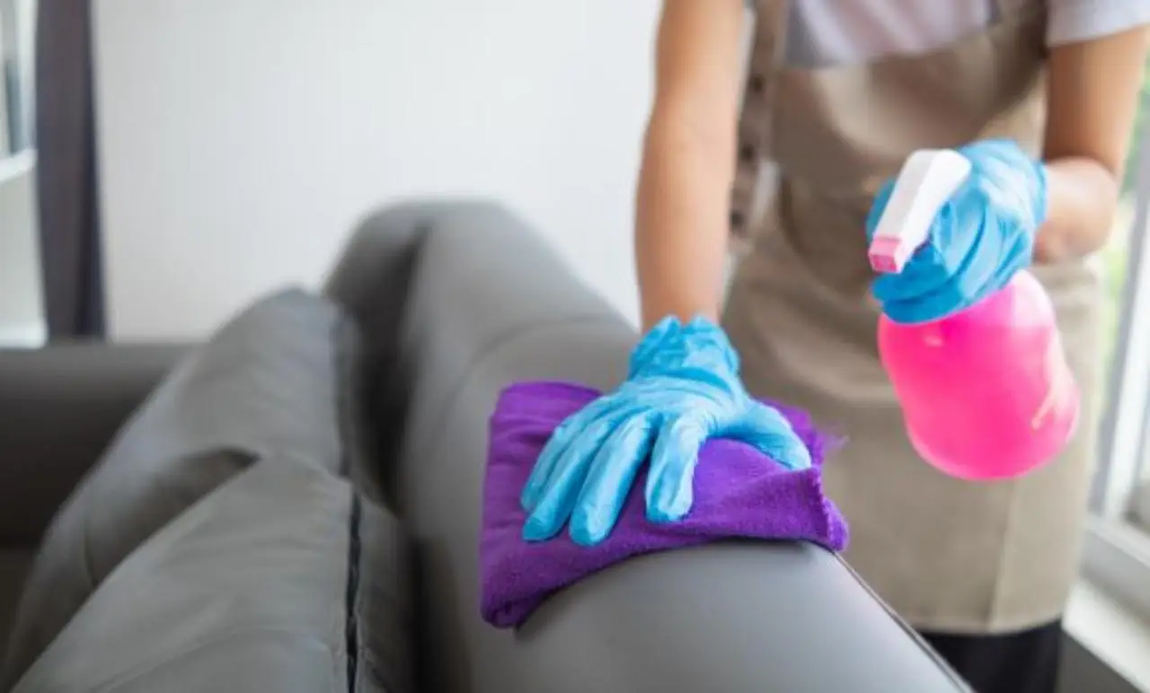 Hai trovato muffa sul divano? Non usare la candeggina: ecco il metodo naturale che funziona