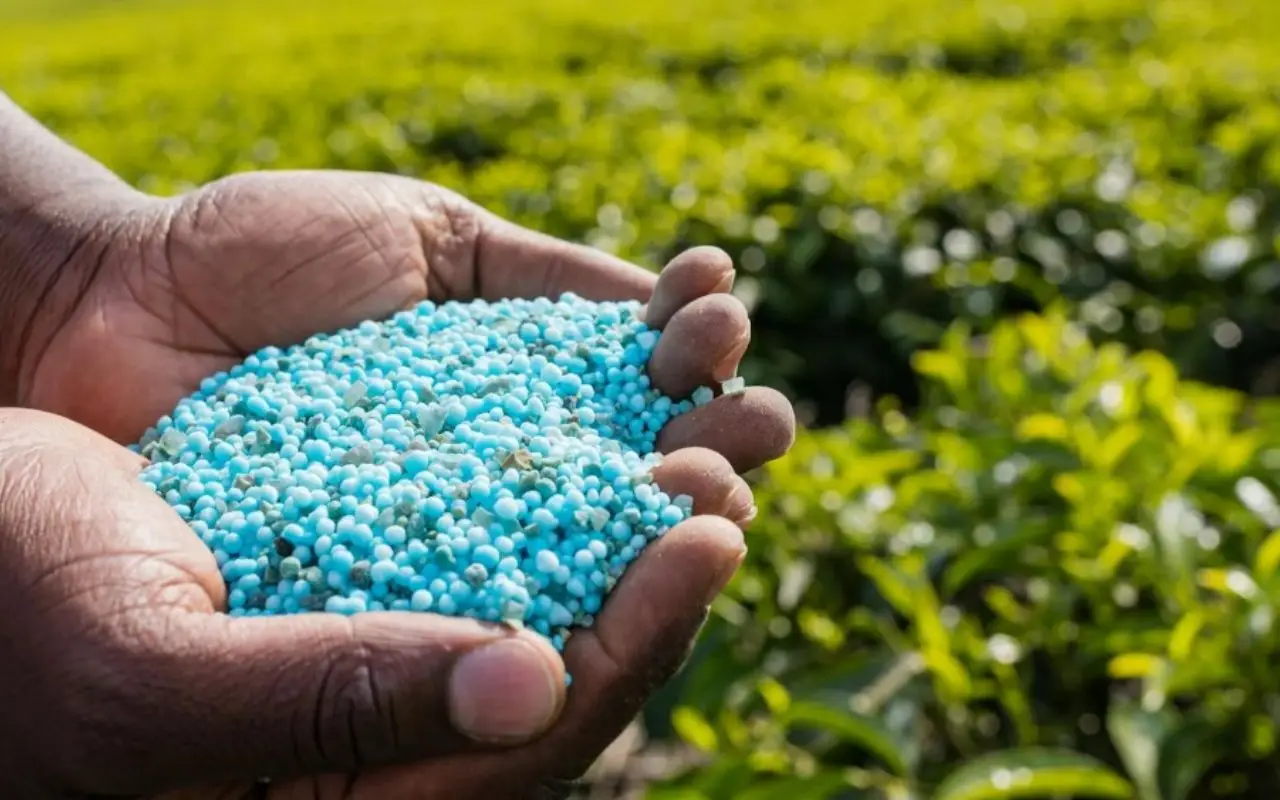 Smetti di usare fertilizzanti chimici nel tuo prato: ecco il concime naturale che funziona meglio