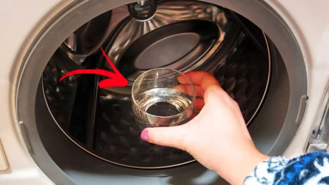 Non usare questo tipo di aceto nella lavatrice: ecco perché rischi di romperla