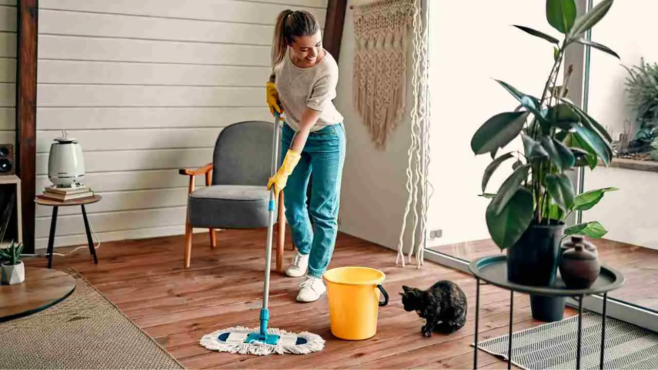 Se non riesci a tenere la casa pulita questo potrebbe essere il vero motivo psicologico